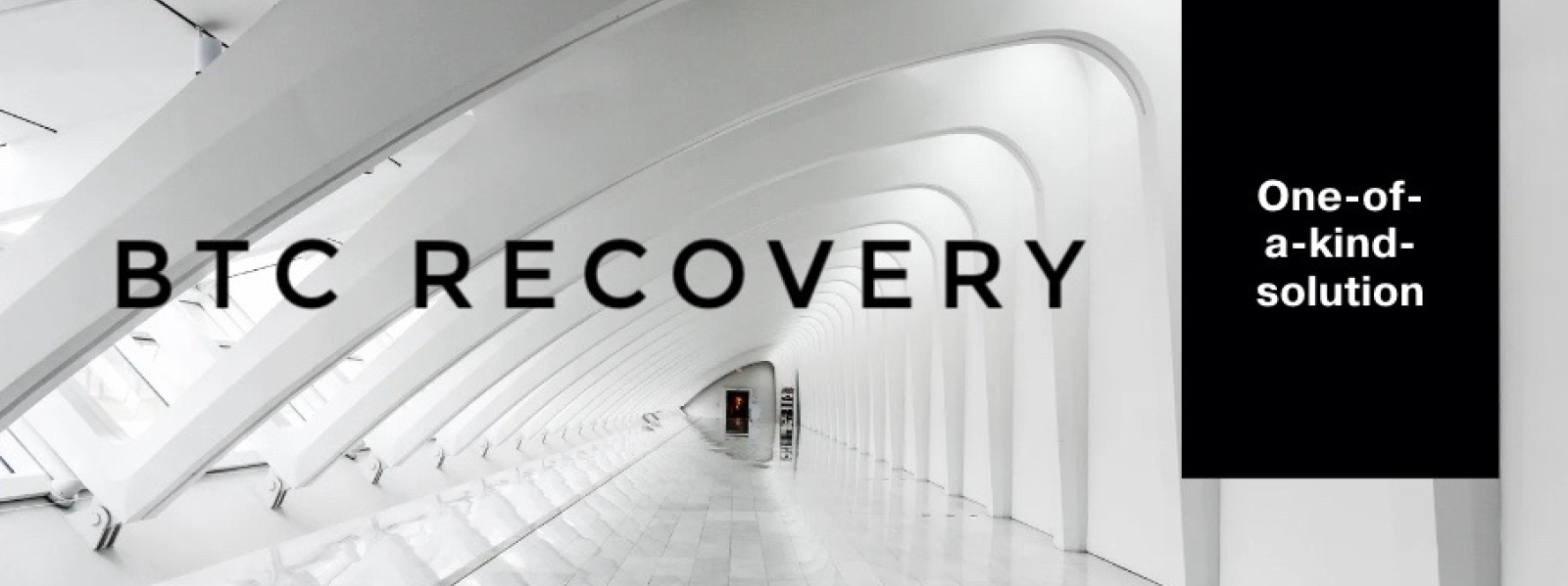 Wallet recovery